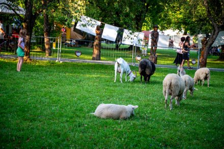 Inauguracja 61. Tygodnia Kultury Beskidzkiej w Wiśle